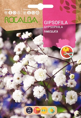 Semilla Gipsofila Paniculata Perenne blanca Semilla Gipsofila Paniculata Perenne blanca