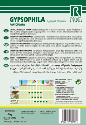Semilla Gipsofila Paniculata Perenne blanca