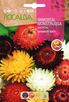 Semilla Inmortal Monstruosa Geante de Suisse Semilla Inmortal Monstruosa Geante de Suisse