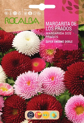 Semilla Margarita de los Prados Super Enorme Semilla Margarita de los Prados Super Enorme