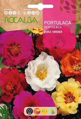 Semilla Portulaca Doble, Variada Semilla Portulaca Doble, Variada