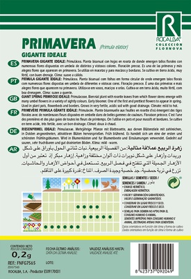 Semilla Primavera Gigante Ideale
