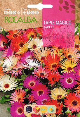 Semilla Tapiz Magico Ficoide Criniflorum Semilla Tapiz Magico Ficoide Criniflorum