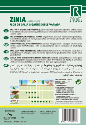 Semilla Zinia Flor de Dalia Gigante Doble Variada