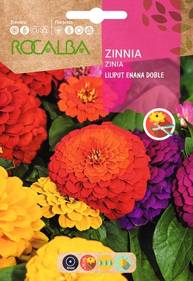 Semilla Zinia Liliput Enana Doble Variada Semilla Zinia Liliput Enana Doble Variada