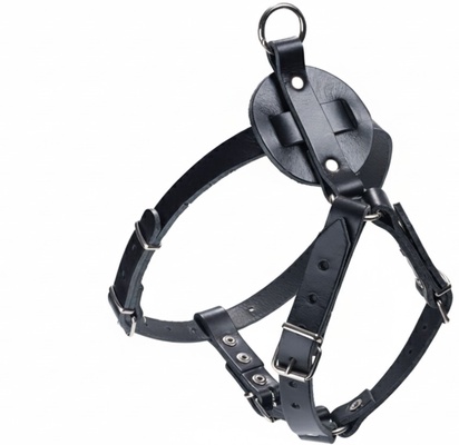 Arnes Cuero Sillero Chapon Arnes Cuero Sillero Chapon