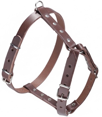 Arnes Cuero Sillero Simple Pequeño Arnes Cuero Sillero Simple Pequeño