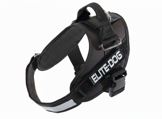 Arnes Elite Dog Talla 4