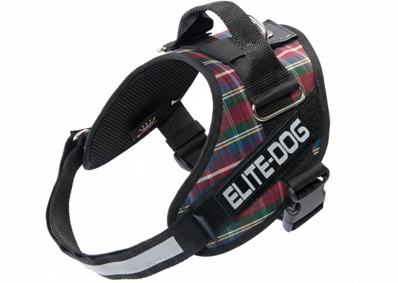 Arnes Elite Dog Talla 6