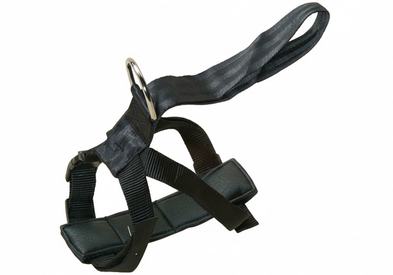 Arnes T Seguridad Automatico 50/80 cm.