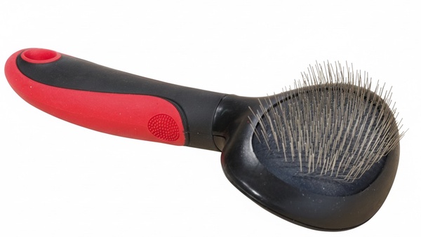 Carda Grande Carda Grande