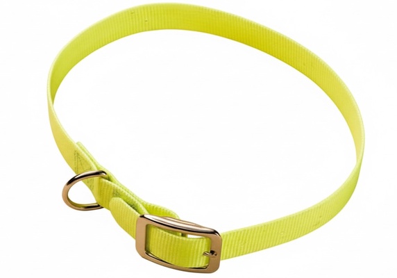 Collar Cinta Nylon Plastificada 65 x 2.5cm
