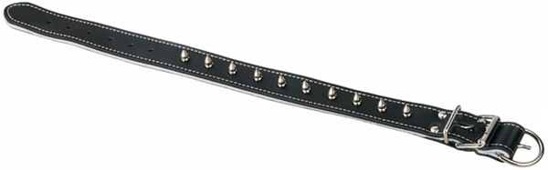 Collar Cuero Acolchado 60cm