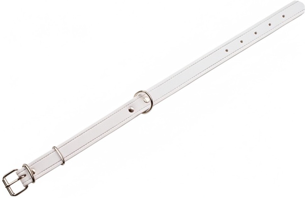 Collar Cuero Cromo 55 x 2,7 cm