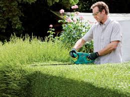 Cortasetos Bosch Ahs 55-16