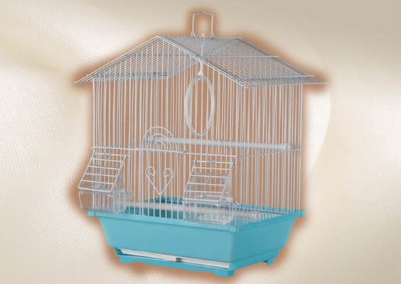 Jaula Pajaro Pico Jaula Pajaro Pico