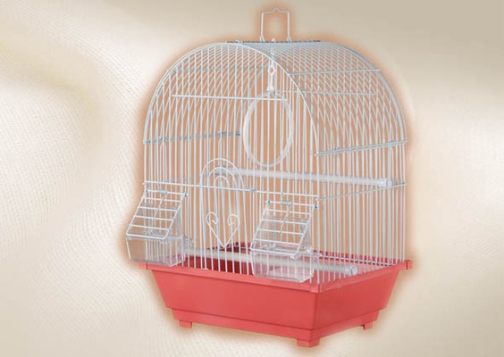 Jaula Pajaro Techo Redonda Jaula Pajaro Techo Redonda