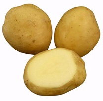 Bandeja Patata de Siembra Jaerla 100 unidades