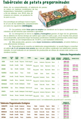 Bandeja Patata de Siembra Agria 100 unidades