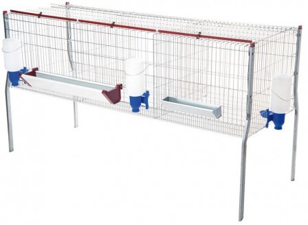 Jaula Pollos Engorde 3 Departamentos