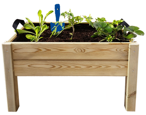 Kit Iniciacion Cultivo Leo Kit Iniciacion Cultivo Leo