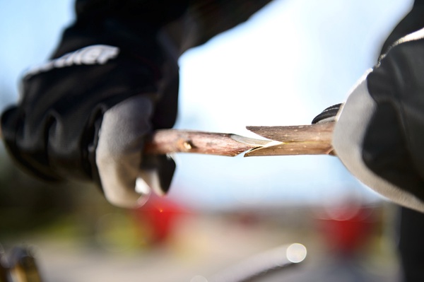 Maquina Injertar Profesional Top