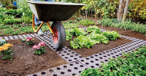 Loseta para Camino Maxi 4 unidades