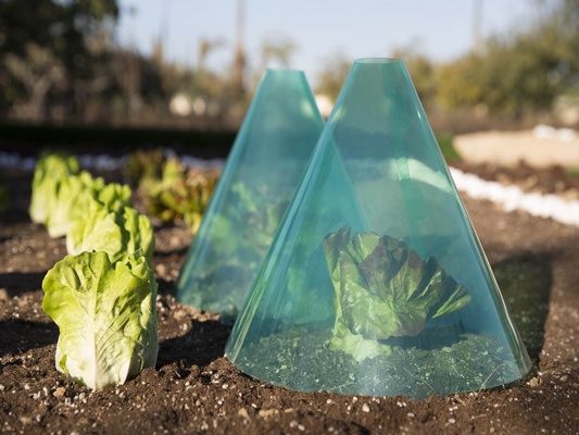 Cono Cultivo Pack 3 unidades