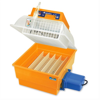 Incubadora Automatica Covattuto 24 Eco