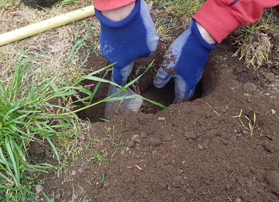 Trampa topos ecologica Brody con Agujeros