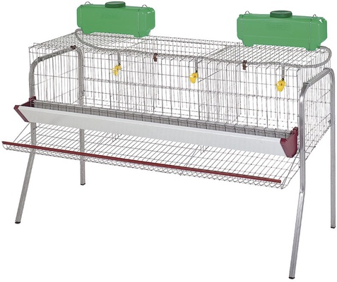 Jaula Gallinas Ponedoras 3 Departamentos