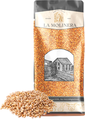 Trigo en Grano 25 kg Trigo en Grano 25 kg