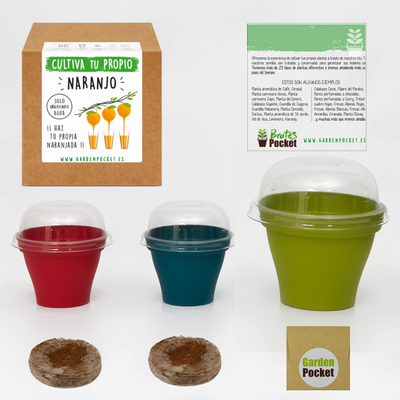 Kit Brotes Pocket Naranjo