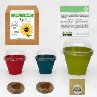 Kit Brotes Pocket Girasol Kit Brotes Pocket Girasol