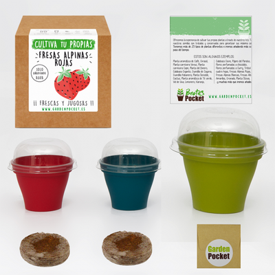 Kit Brotes Pocket Fresas Rojas
