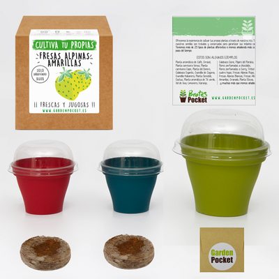 Kit Brotes Pocket Fresas Amarillas