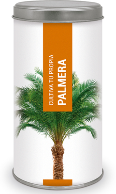 Kit Cultiva Tu Propia Palmera Kit Cultiva Tu Propia Palmera