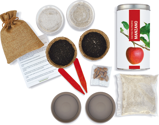Kit Cultiva Tu Propio Manzano