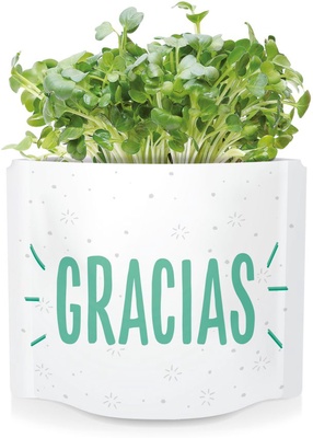 Postal Gracias -germinados Mostaza