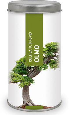 Kit Cultiva Tu Propio Olmo Kit Cultiva Tu Propio Olmo