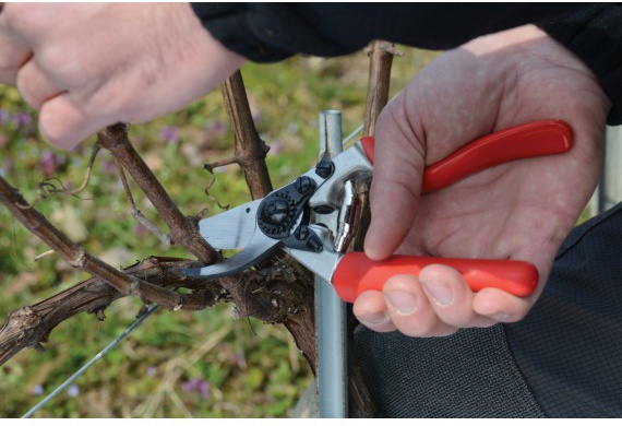 Tijeras de Poda Felco No. 7