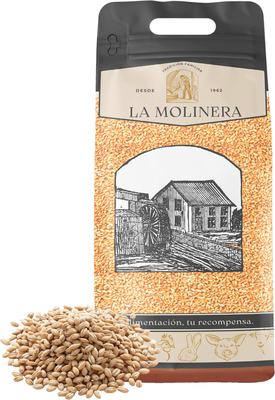 Cebada en Grano 10 kg Cebada en Grano 10 kg