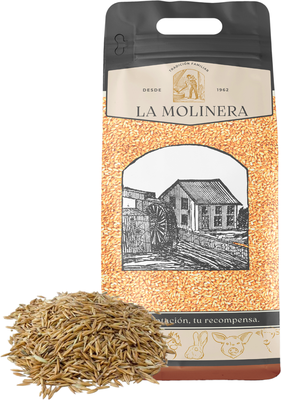 Avena Blanca Grano 10 kg Avena Blanca Grano 10 kg