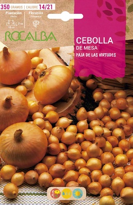 Semilla Bulbo Cebolla Paja Virtudes Calibre 14/21 350 Gramos