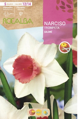 Bulbo Narcisos Trompeta 12/15 Salome Blanco Rosa