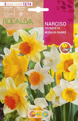 Bulbos Narciso Variedad Trompeta 12/15 Mezcla de Colores Bulbos Narciso Variedad Trompeta 12/15 Mezcla de Colores