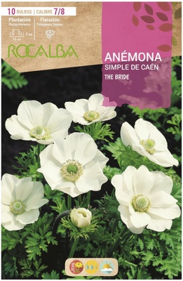 Bulbo Anemonas Simples de Caen 7/8 The Bride Blanco Bulbo Anemonas Simples de Caen 7/8 The Bride Blanco