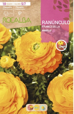 Bulbo Ranunculos 5/7 Amarillo