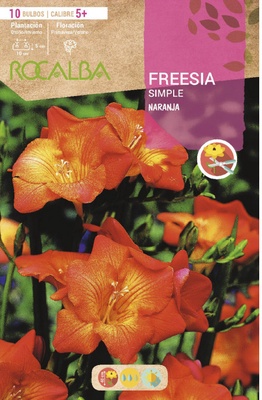 Bulbo Freesias Simples 5+ Naranja