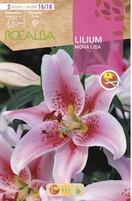 Bulbos Liliums 16/18 Mona Lisa Lila Suave Puntos Rojos Bulbos Liliums 16/18 Mona Lisa Lila Suave Puntos Rojos